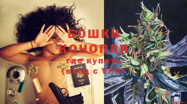 ECSTASY Лагань
