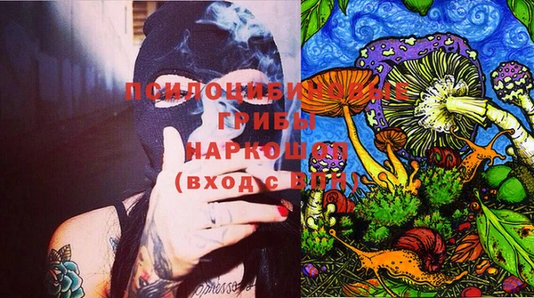ECSTASY Лагань