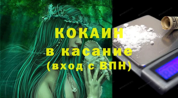 твердый Ладушкин