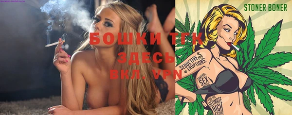 твердый Ладушкин